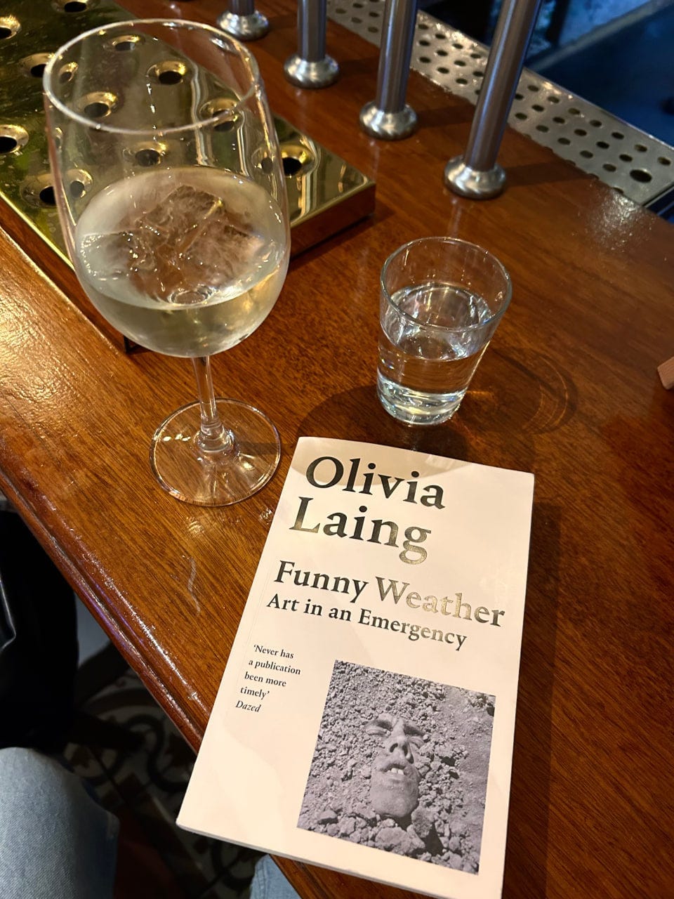 Olivia Laing wrote the book I wish I had written
