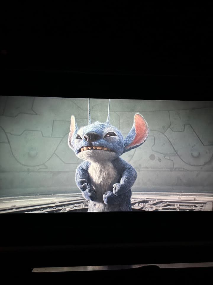 Lilo & Stitch: film you should watch while hugging your pet