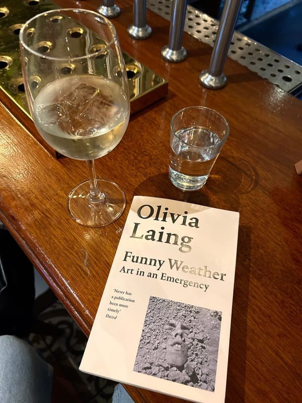 Olivia Laing wrote the book I wish I had written